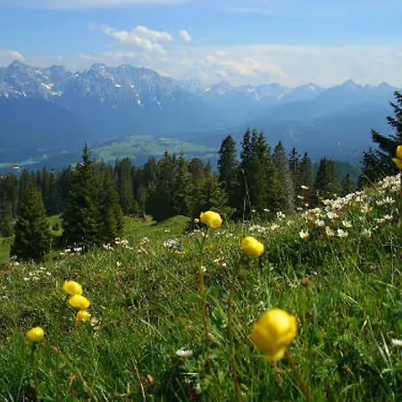 Gaestehaus Christophorus Alpengluehn *